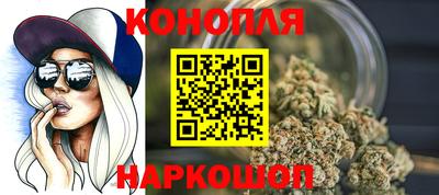гашик Будённовск